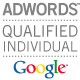 Google adwords professional