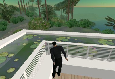 Second Life - Parrot Island