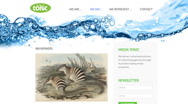 mediatonic.com.au screenshot